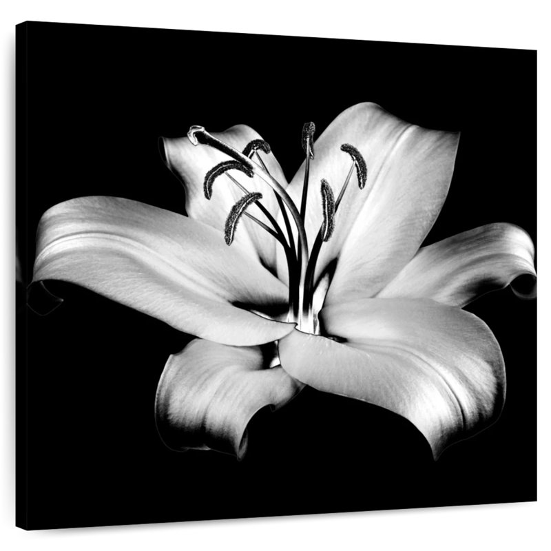 Arney Silver Lily Flower