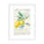 White Framed Fine Art Paper