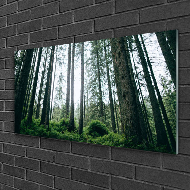 Nature Forest - No Frame Print on Glass