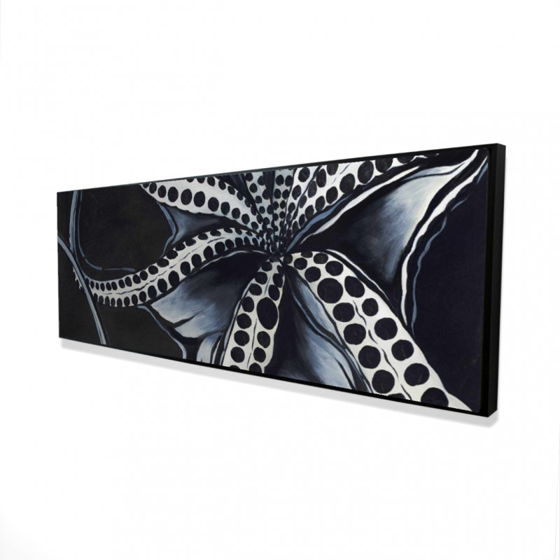 Octopus tentacule, toile marine | Décoration aquatique
