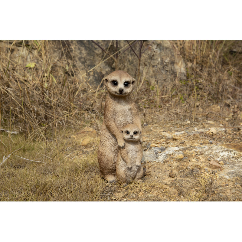 Mother and Baby Meerkat