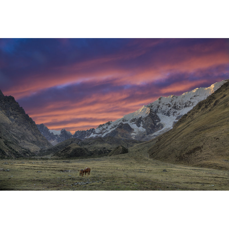 Grazing In The Andes by Alexeys - Wrapped Canvas Print, 30cm H x 46cm W