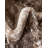 Brandt Oriental Area Rug-923683868-900546641