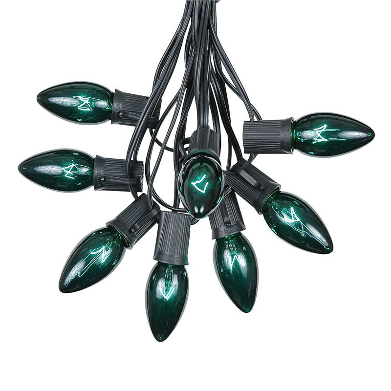 Fantaisie 25 pi pour l’extérieur 25 lumières Socorro, Noir, Vert