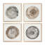 Rings of Time, ensemble de 4 impressions sur toile dans un cadre en érable-109197146