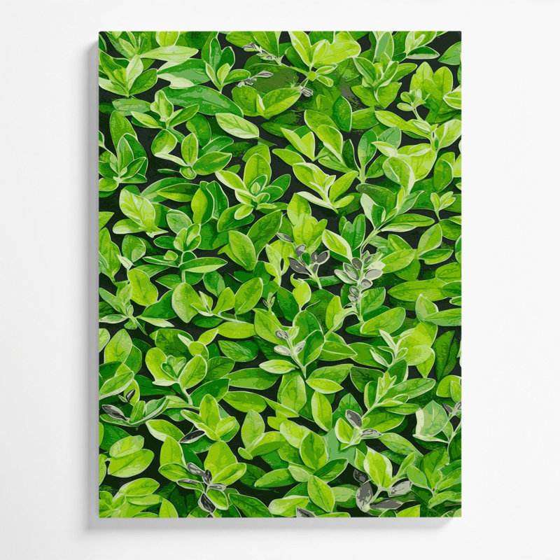 "Watercolor Botanical 65", art mural sur toile verte, H 16 po x l 20 po