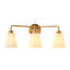 3 - Light Vanity Light
