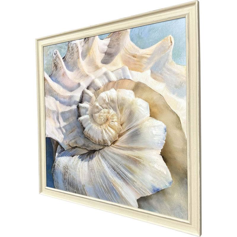 Coquille centrale encadrée