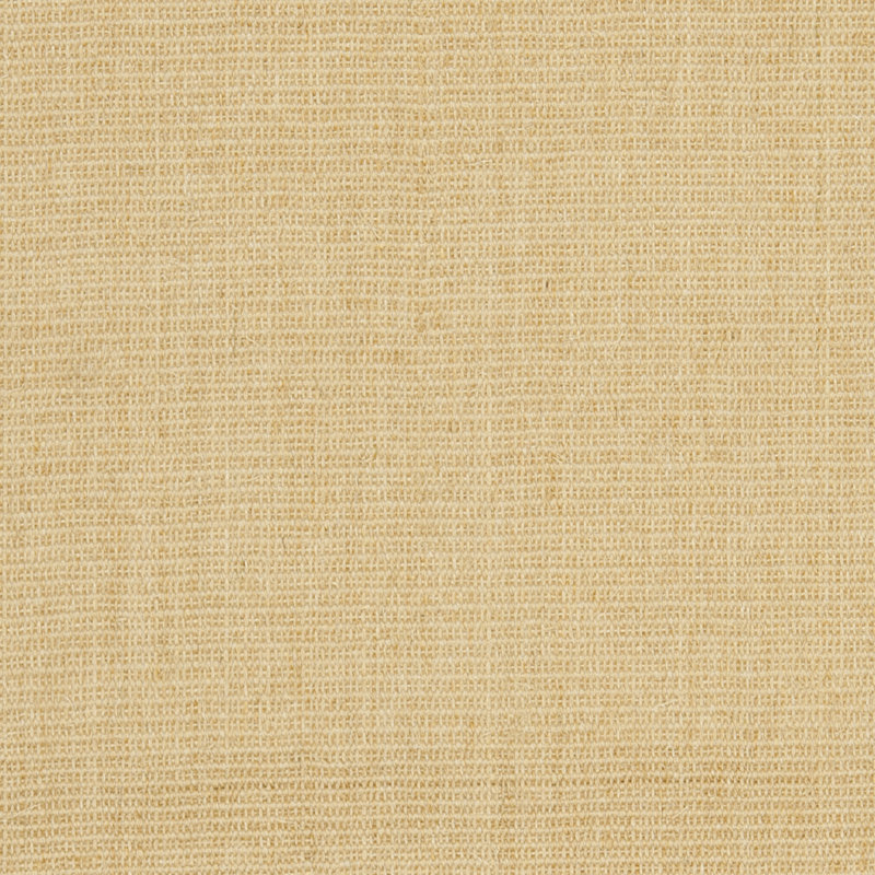 Tapis Nazli en sisal naturel, couleur unie, avec revÃªtement en latex, Rectangle 6 pi x 9 pi