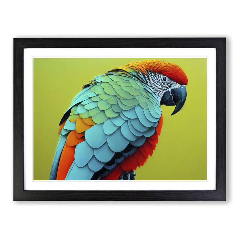 Colourful Parrot Vol.2 1 Piece Single Picture Frame Wall Art, 34cm H x 46cm W x 2cm D, Black Framed