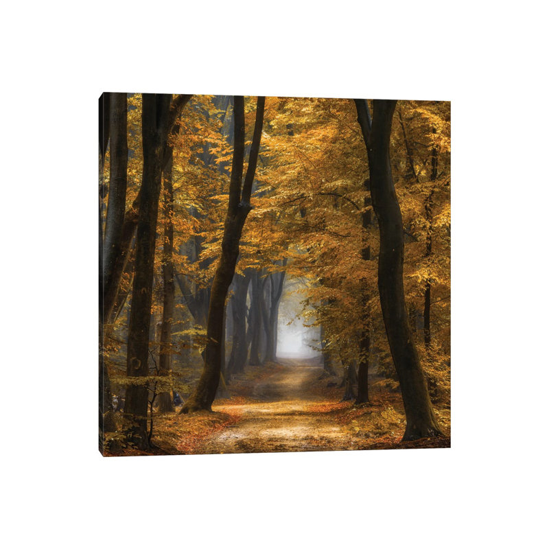 Speuldimensions by Lars Van De Goor - Wrapped Canvas Print, 30.48 cm H x 30.48 cm W