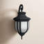 Lanterne murale d'extérieur Carterton-779527679-779527676-752700745