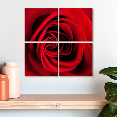 Harnek Red Rose In Bloom