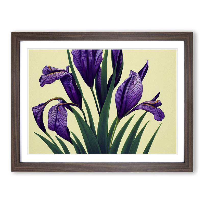 Spellbinding Iris Flowers - Framed Print, 25cm H x 34cm W, Walnut Frame