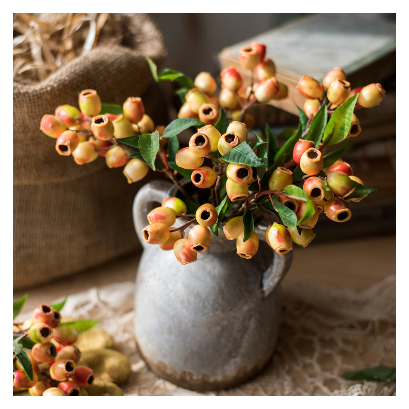Tige de fruit loquat