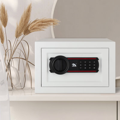 Tigerking 0.5 Cu.ft. Small Safe Box with Digital Keypad Lock for Cash Jewelry Home Documents, Black