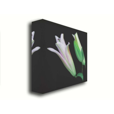 «When Lilies Rise» par Hal Halli. Estampe numérique