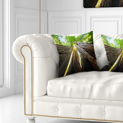 Coussin Sequoia Tree