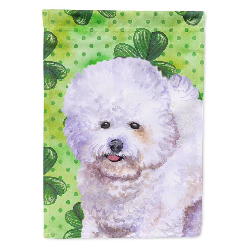 40 x 28 po en polyester à 2 côtés de la st patrick drapeau maison, Bichon frisé blanc