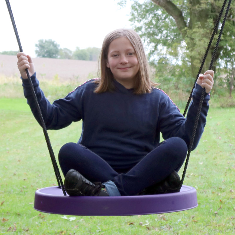 Purple Plastic Saucer Swing with Steel Clips and Nylon Ropes