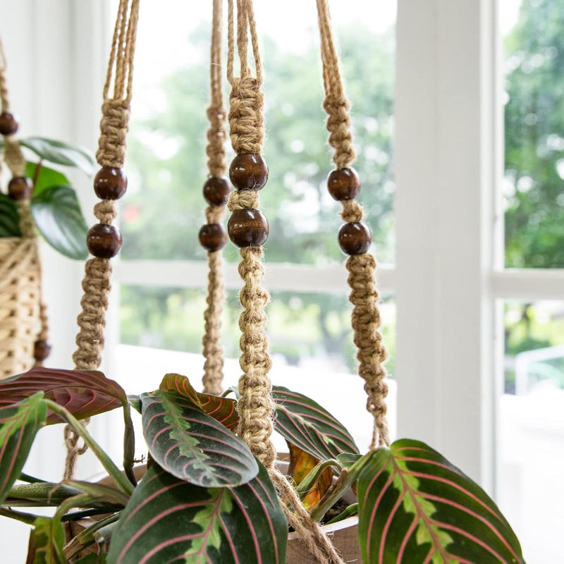Elevated Planter