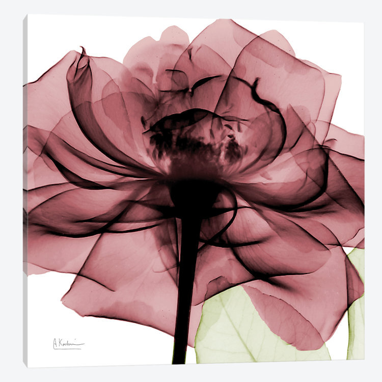 «Chianti Rose II» par Albert Koetsier - Estampe numérique sur toile tendue avec châssis, H 26 po x l 26 po x P 1,5 po