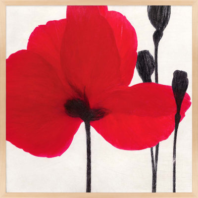 Red Poppy 1 Print by Ivo Stoyanov