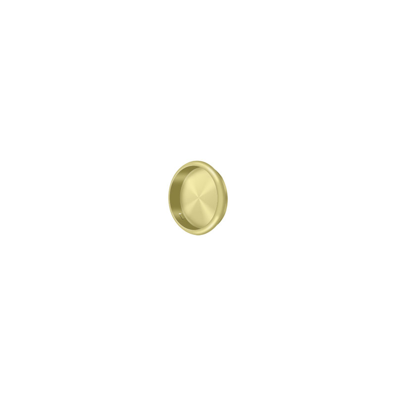 Brass Push/Pull Plate, Polished Brass