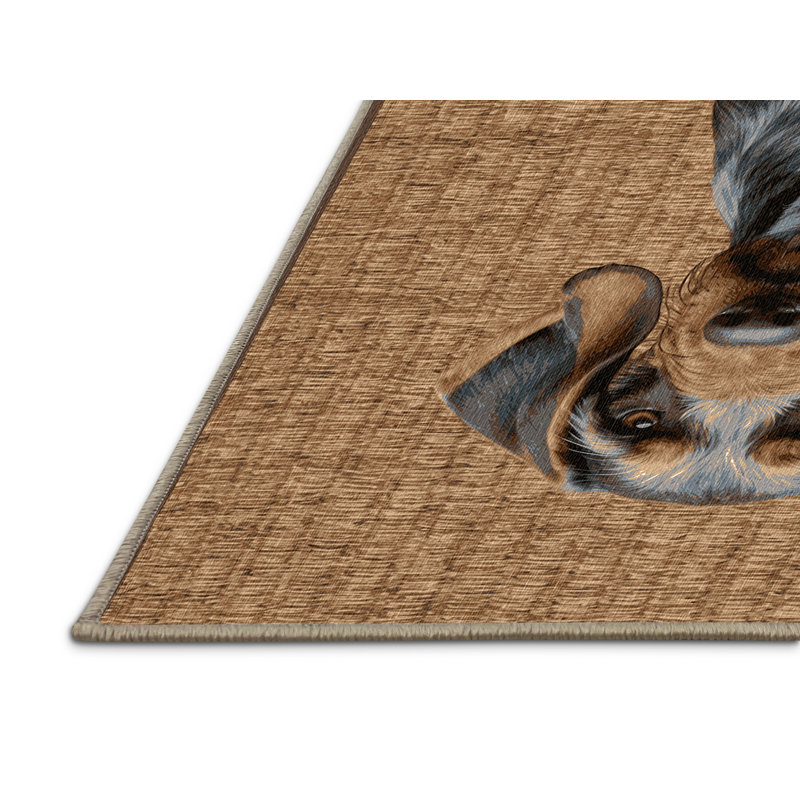  Tapis lavable allemand à poils longs, Tapis de couloir 2 pi x 4 pi
