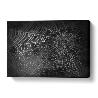 Spiders Cobweb In Abstract - Wrapped Canvas Print