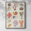 «Coral & Shell Collage I», reproduction encadrée - bois massif-1929249861