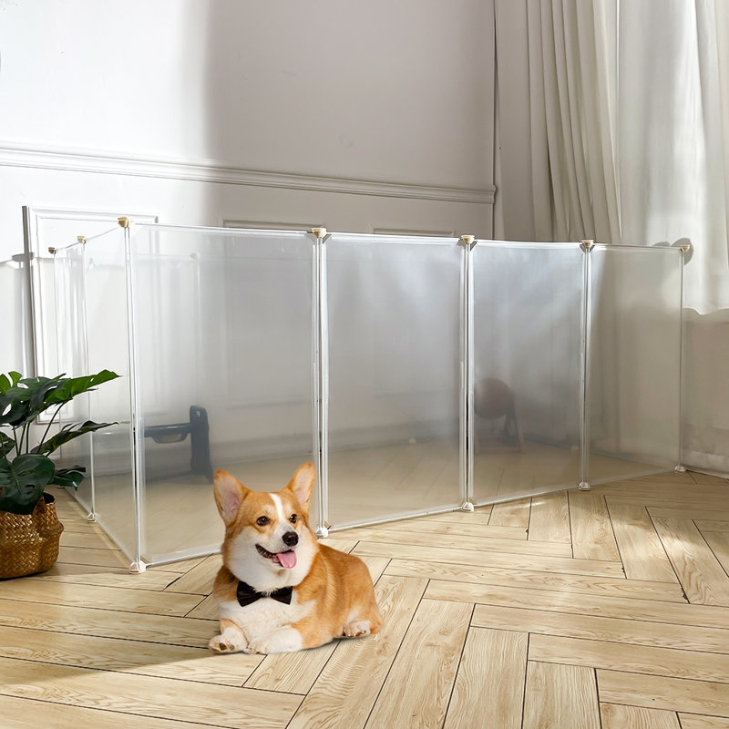 Polyethylene Plastic Collapsible Pet Crate