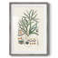 Bright Boy II, reproduction encadrée-1053160254-1053160255-1053160196