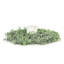 Couronne d'eucalyptus givré artificiel-689875724