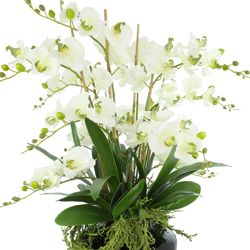 Orchids Arranged in Decorative Glass Vase