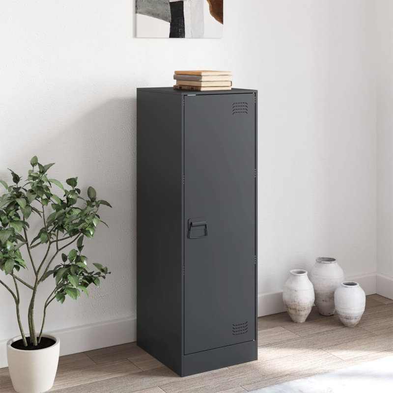 Alyda Steel Accent Cabinet, Anthracite