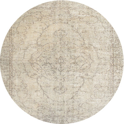 Oriental Indoor Rug