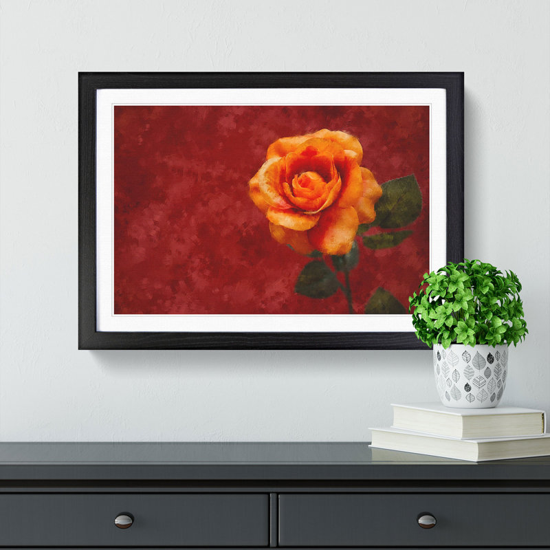 Orange Rose in Bloom - Picture Frame Graphic Art Print, 62cm H x 87cm W x 2cm D, Black Framed