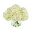 Hydrangeas in Glass Vase-1221587992