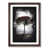 Walnut Framed