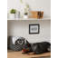 Panier en tissu Lattice Paw-261337401-261337377