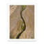 Johnson Point I by Tim Klein - Picture Frame Photograph-107171016-107171015