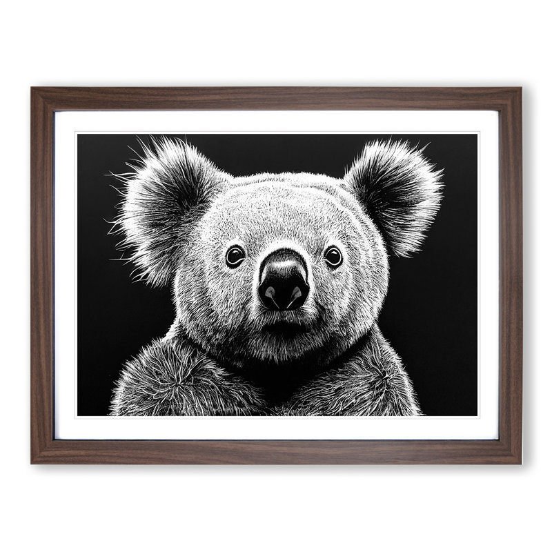 Koala Bear - Framed Print, 46cm H x 64cm W, Walnut Framed