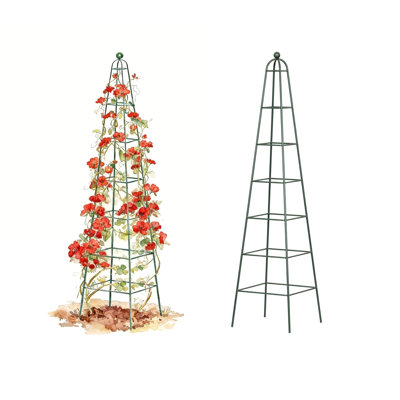 Metal Pyramid Obelisk Garden Trellis