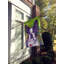Drapeau de maison Hvidovre Sheltie Halloween en polyester à 2 faces 3 x 2 pi-81031175