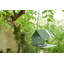 Picoti Bird Feeder-2123727517