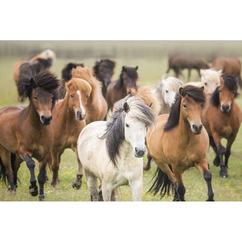 Chevaux des prairies III, H 12 po x l 18 po x P 1,25 po
