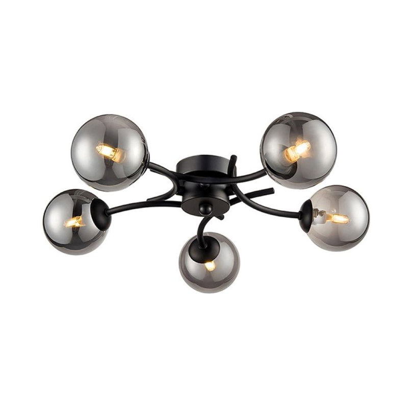 Delila Spotlight