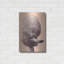 «Poodle» par Thomas Fluharty-1981696020