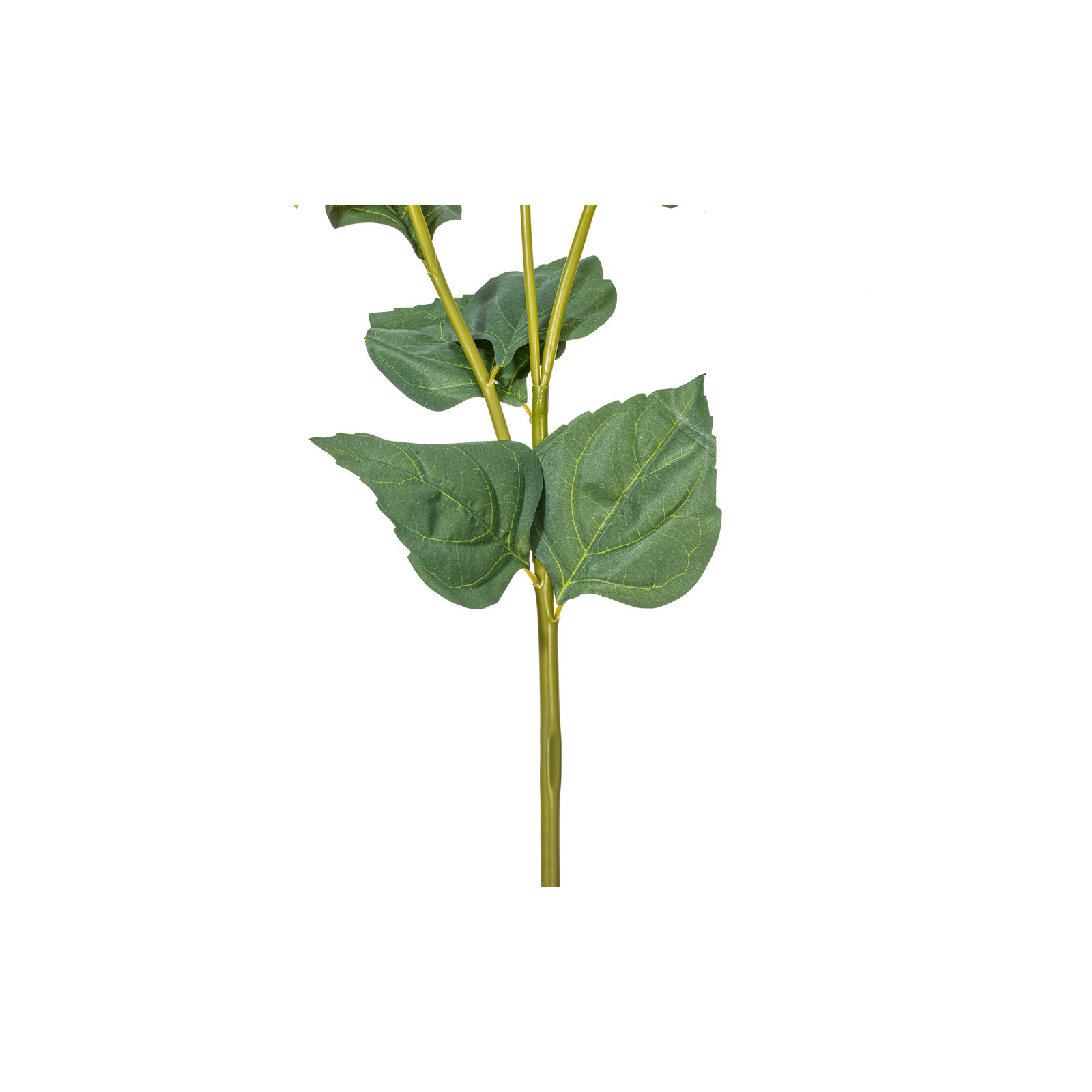 Hydrangea Stem, Lavender
